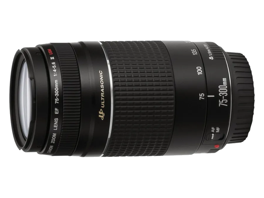 Ремонт электроники Canon EF 75-300 f/4-5.6 III USM