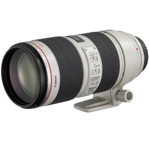 Ремонт электроники Canon EF 70-200 f/2.8L USM